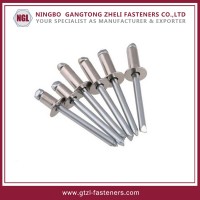 Aluminium Steel Blind Rivet (DIN7337)